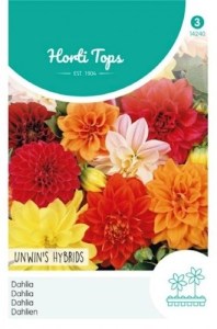 14240 zinna zmes_500x500